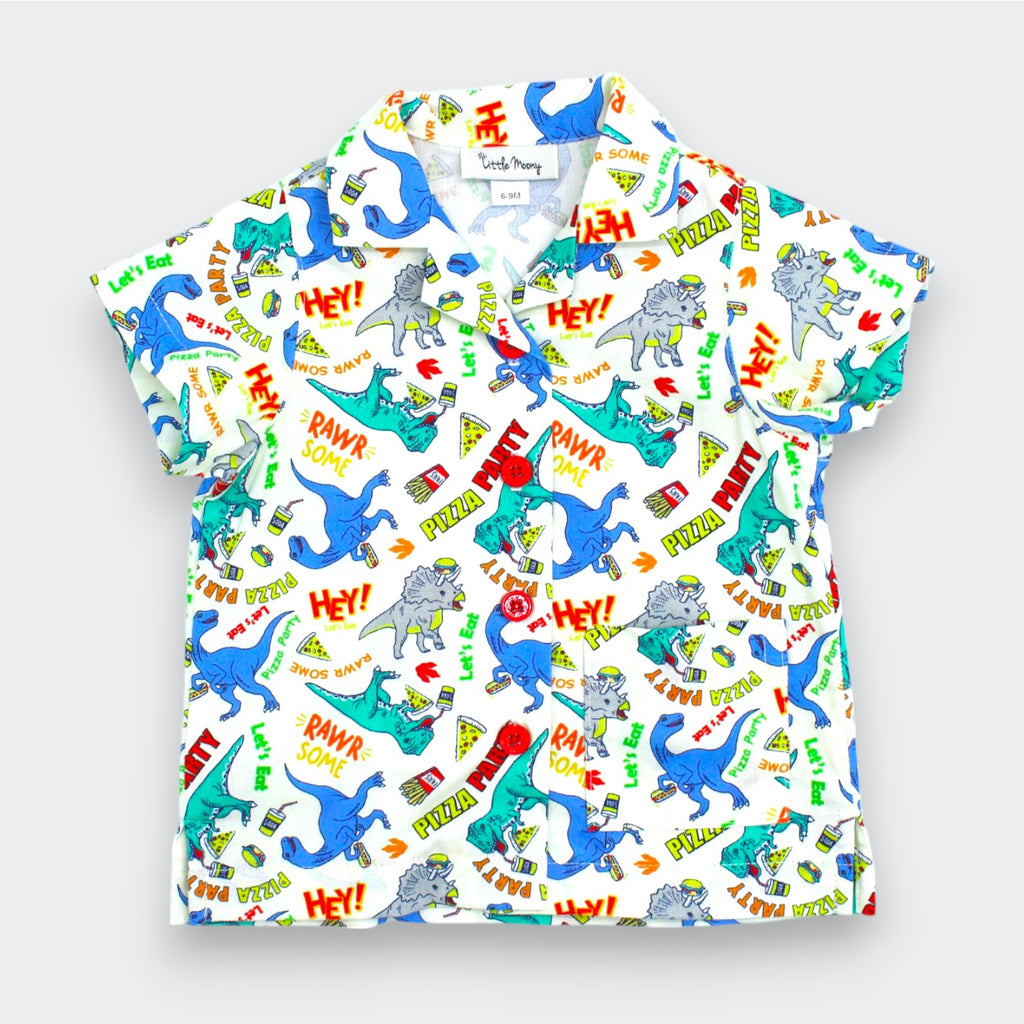 Party Dinosaur Camp