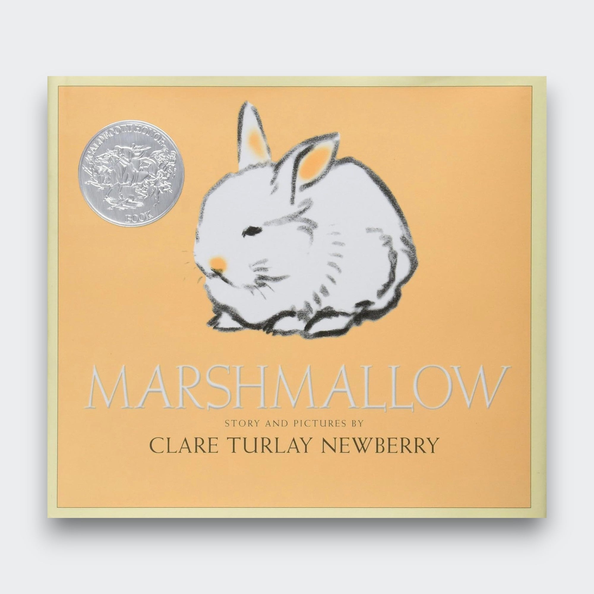 Little Moony Marshmallow Easter and spring storybook with seasonal adventures for kids