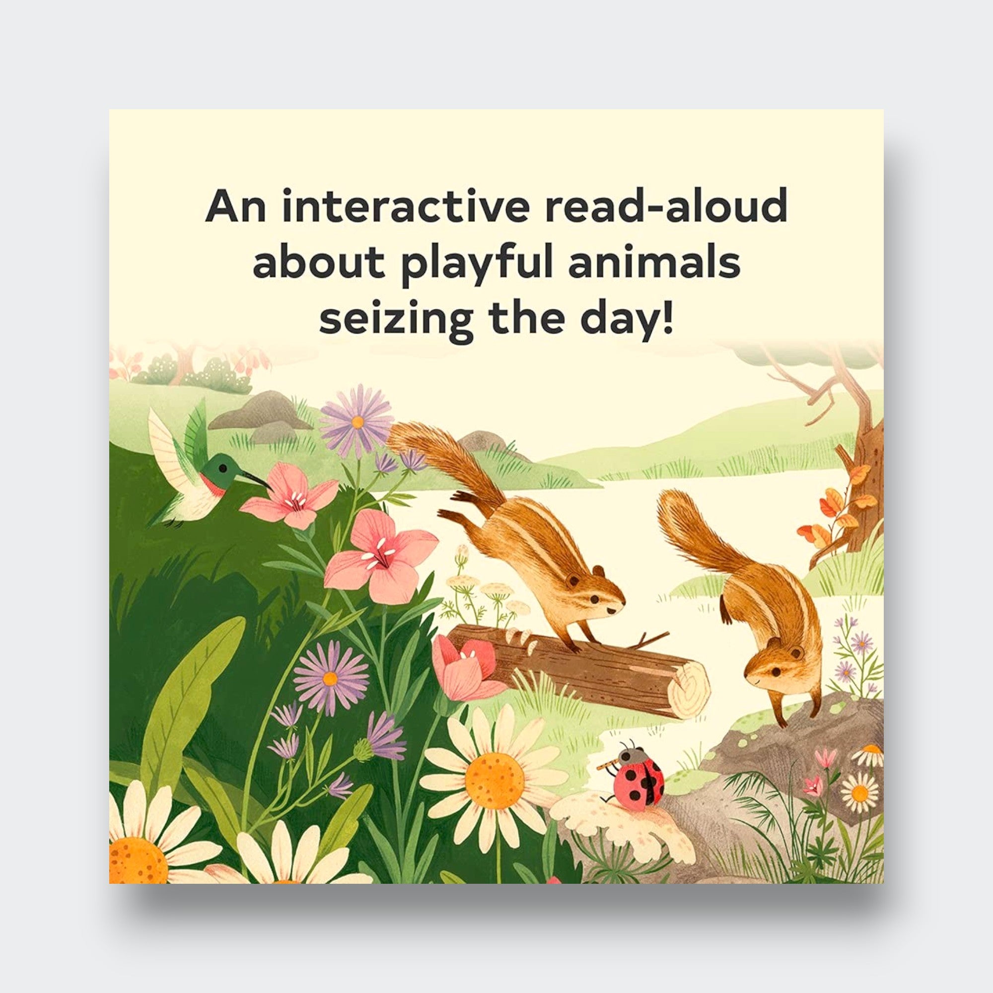 Little Moony Sunrise Dance hardcover picture book with colorful nature illustrations for children. Page sample