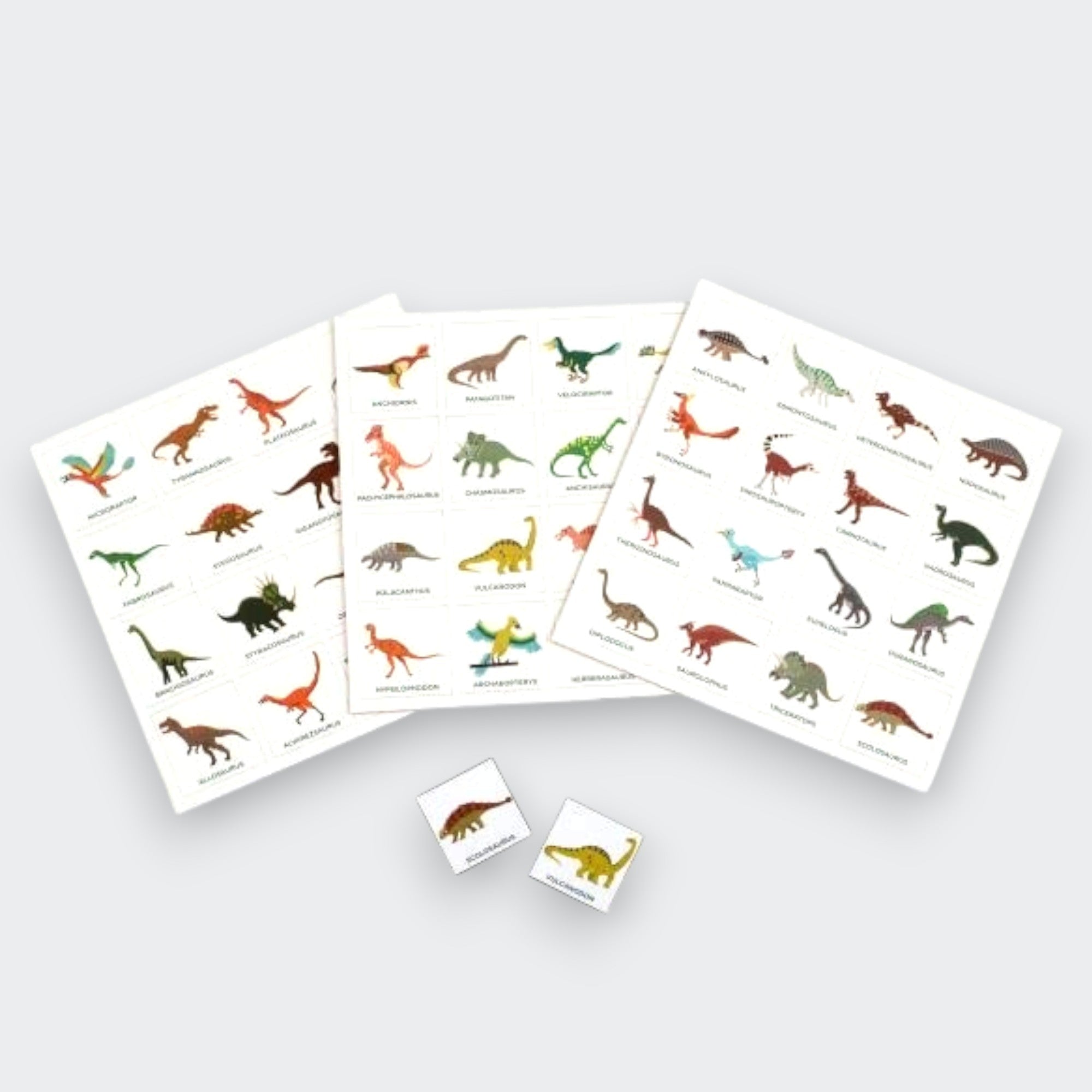Little Moony Dinosaur Bingo family game for kids. Detailed view.