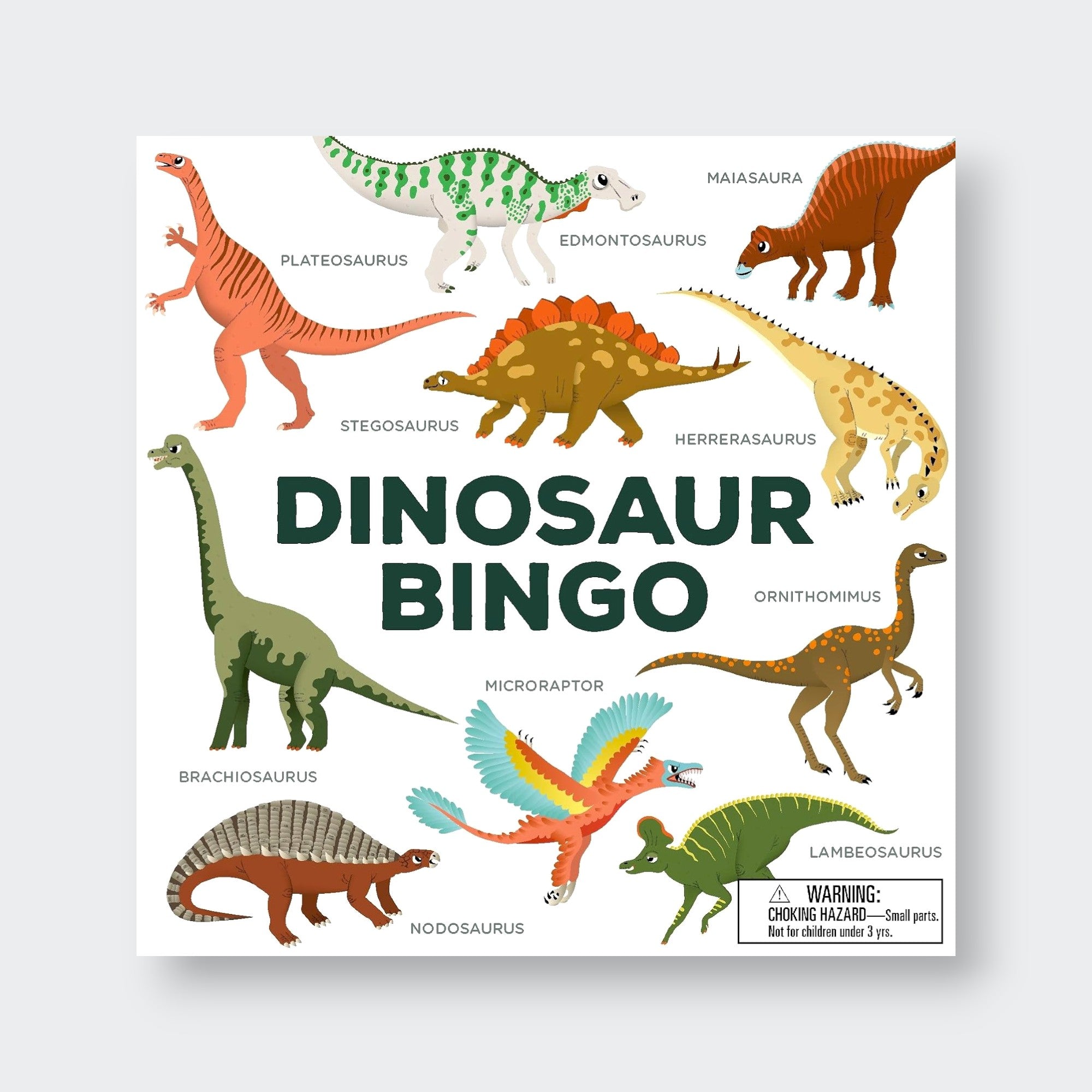 Little Moony Dinosaur Bingo family game for kids.