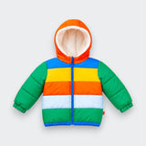Bright Plane Puffer