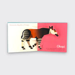 Okapi page spread from My First Pop-Up Endangered Animals children’s book, showing an illustrated okapi across cream and pink pages on a light gray background.