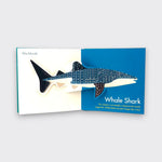 Whale shark pop-up page from My First Pop-Up Endangered Animals children’s book, featuring a spotted whale shark extending across white and blue pages on a light gray background.