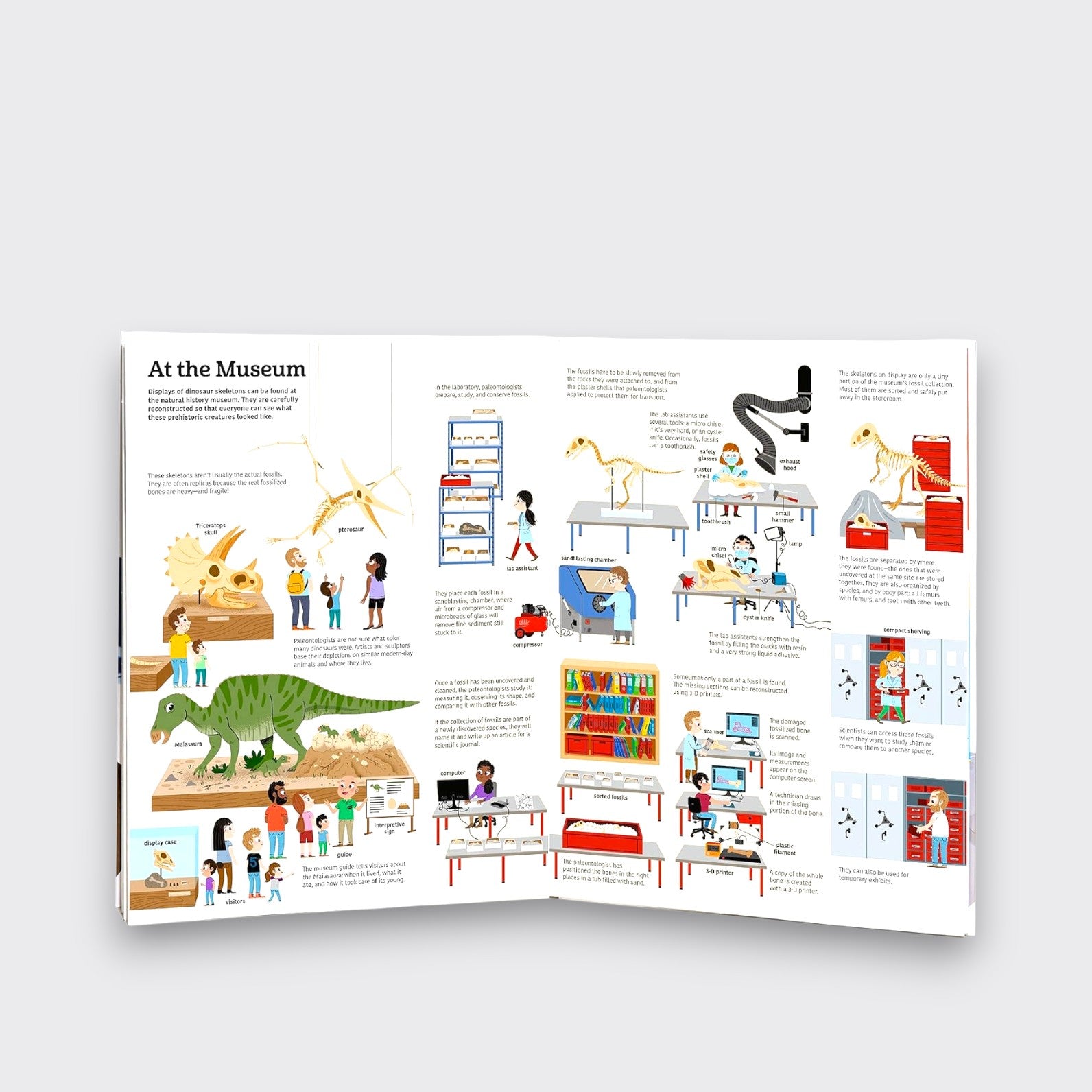 At the Museum page spread from The Ultimate Book of Dinosaurs and Other Prehistoric Creatures, showing dinosaur fossils, museum exhibits, and visitors on a light gray background.