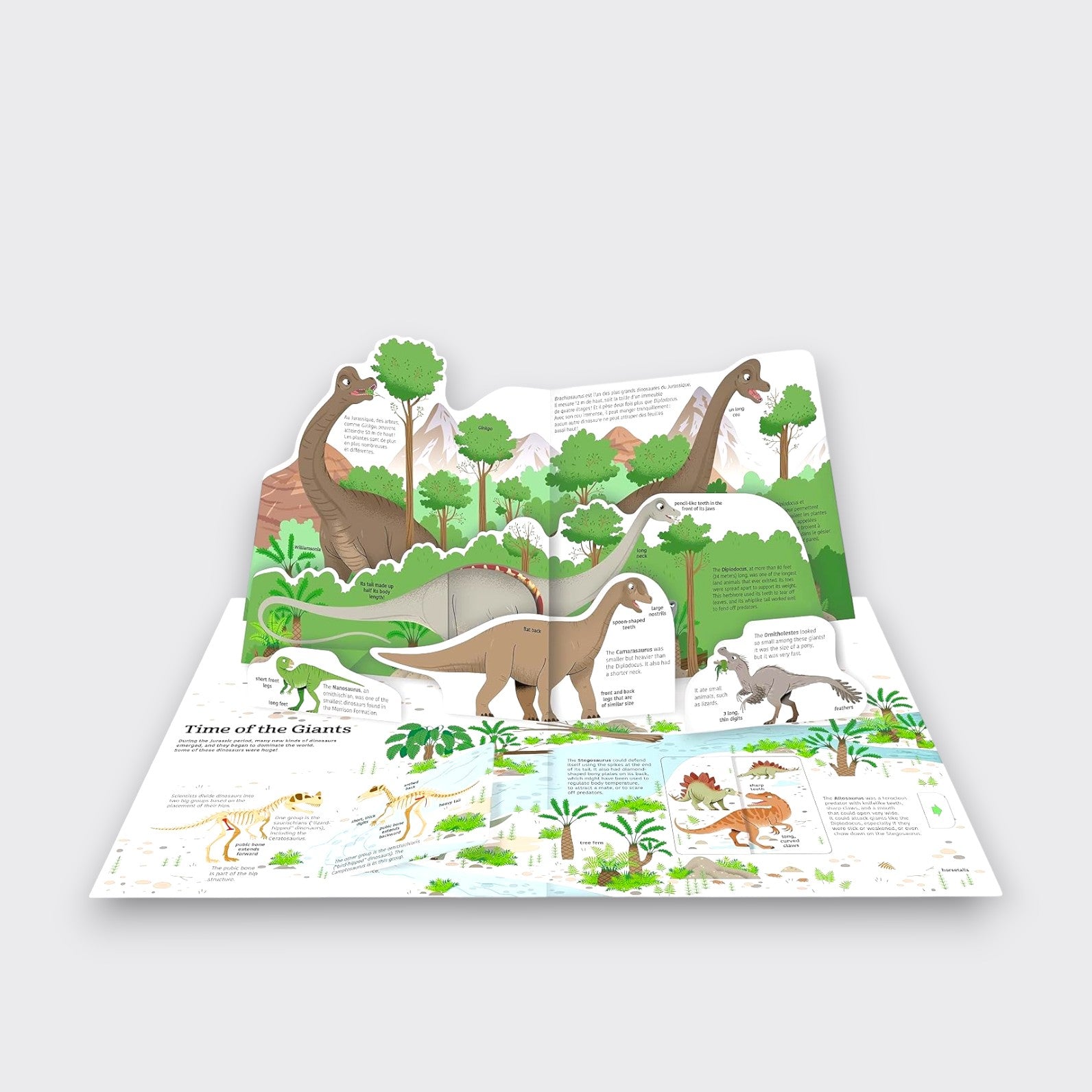 ime of the Giants pop-up page from The Ultimate Book of Dinosaurs and Other Prehistoric Creatures, showing long-necked dinosaurs among green trees on a light gray background.